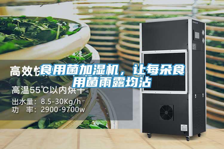 食用菌加濕機(jī)，讓每朵食用菌雨露均沾