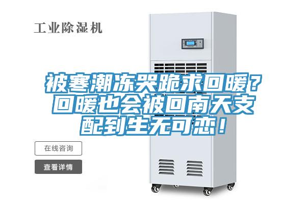 被寒潮凍哭跪求回暖？回暖也會被回南天支配到生無可戀！