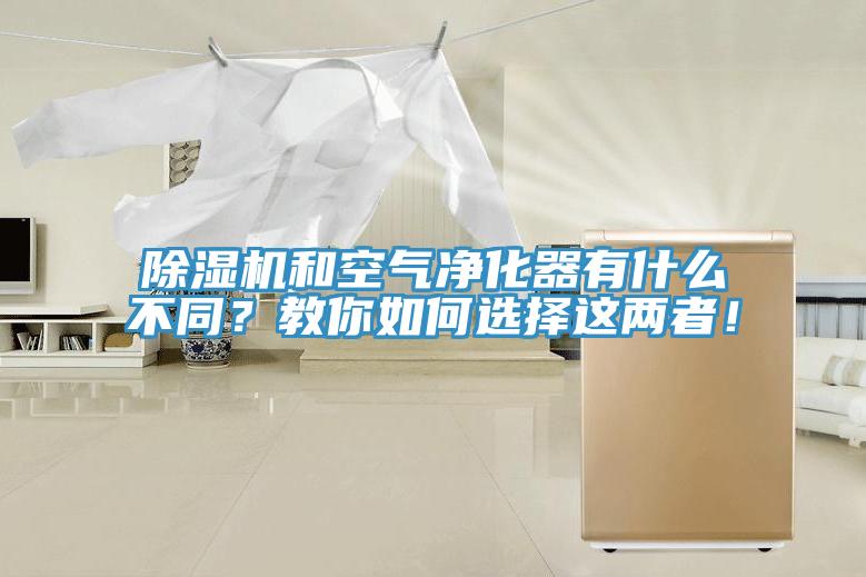 除濕機(jī)和空氣凈化器有什么不同？教你如何選擇這兩者！