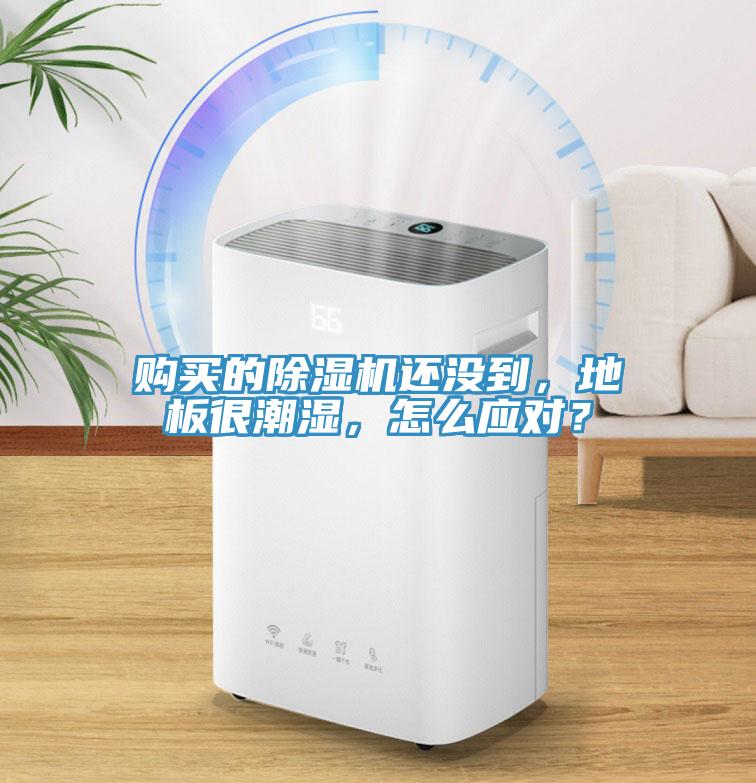 購買的除濕機(jī)還沒到，地板很潮濕，怎么應(yīng)對(duì)？