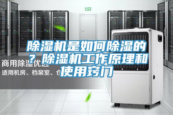 除濕機(jī)是如何除濕的？除濕機(jī)工作原理和使用竅門