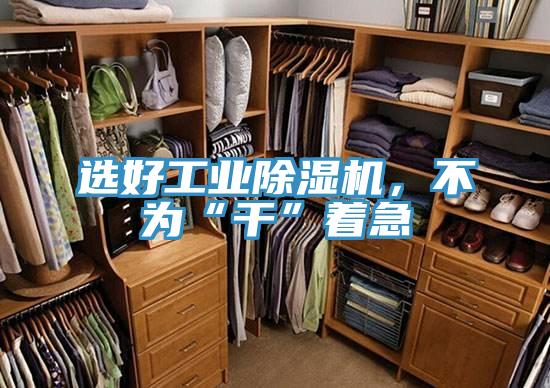 選好工業(yè)除濕機，不為“干”著急