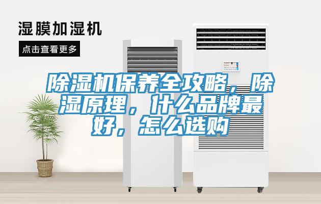 除濕機(jī)保養(yǎng)全攻略，除濕原理，什么品牌最好，怎么選購(gòu)