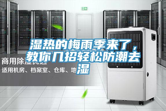 濕熱的梅雨季來了，教你幾招輕松防潮去濕