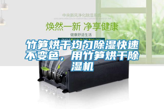 竹筍烘干均勻除濕快速不變色，用竹筍烘干除濕機(jī)