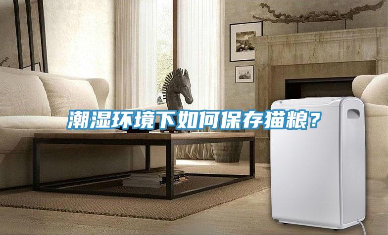 潮濕環(huán)境下如何保存貓糧？