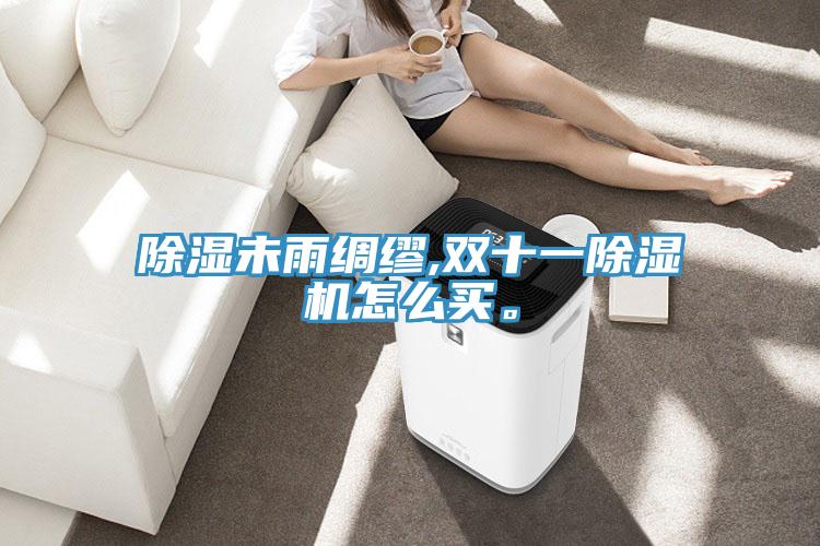 除濕未雨綢繆,雙十一除濕機怎么買。