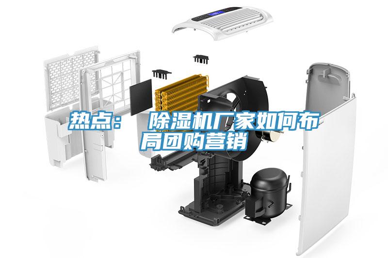 熱點(diǎn)： 除濕機(jī)廠家如何布局團(tuán)購(gòu)營(yíng)銷