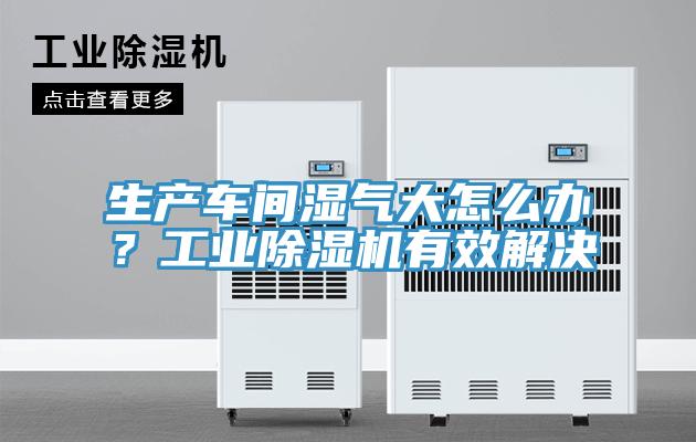 生產(chǎn)車間濕氣大怎么辦？工業(yè)除濕機有效解決
