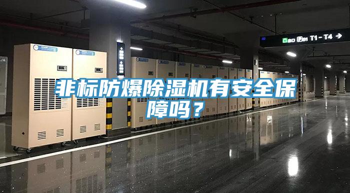 非標防爆除濕機有安全保障嗎？
