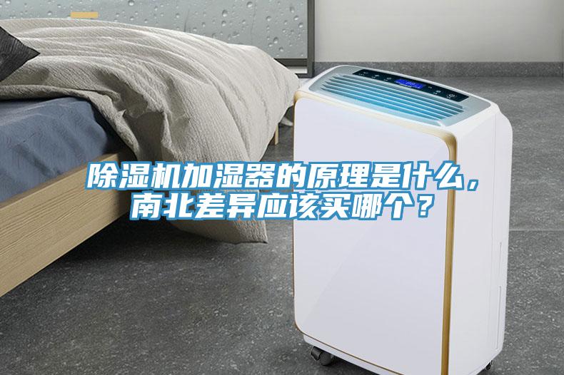 除濕機加濕器的原理是什么，南北差異應(yīng)該買哪個？