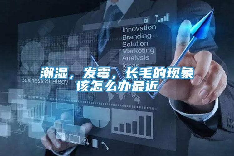 潮濕，發(fā)霉，長毛的現(xiàn)象該怎么辦最近