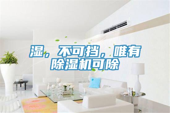 濕，不可擋，唯有除濕機(jī)可除