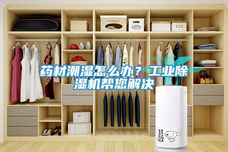 藥材潮濕怎么辦？工業(yè)除濕機幫您解決