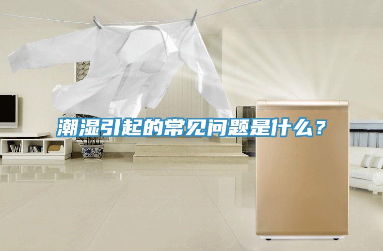 潮濕引起的常見問題是什么?