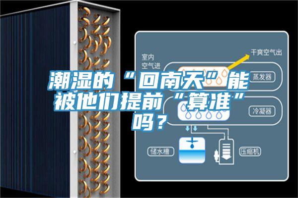潮濕的“回南天”能被他們提前“算準(zhǔn)”嗎？