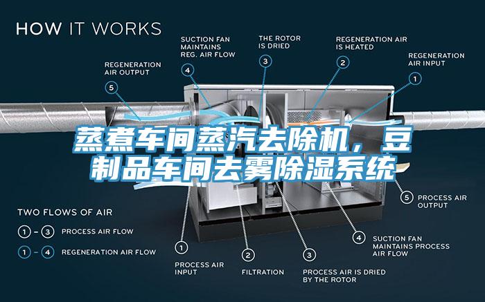 蒸煮車間蒸汽去除機(jī)，豆制品車間去霧除濕系統(tǒng)