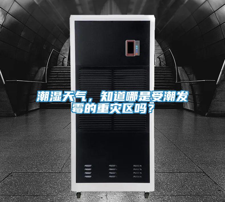 潮濕天氣，知道哪是受潮發(fā)霉的重災(zāi)區(qū)嗎？
