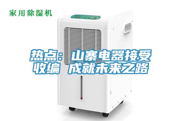 熱點(diǎn)：山寨電器接受收編 成就未來之路