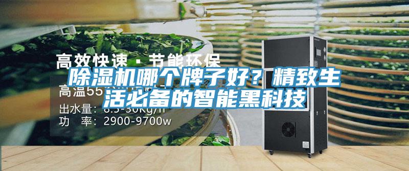 除濕機(jī)哪個(gè)牌子好？精致生活必備的智能黑科技