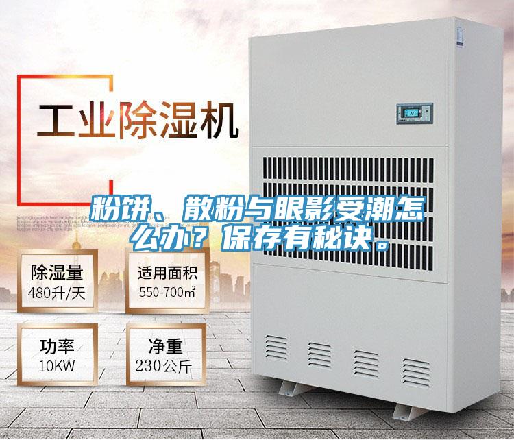 粉餅、散粉與眼影受潮怎么辦？保存有秘訣。