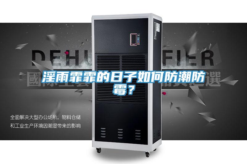 淫雨霏霏的日子如何防潮防霉？