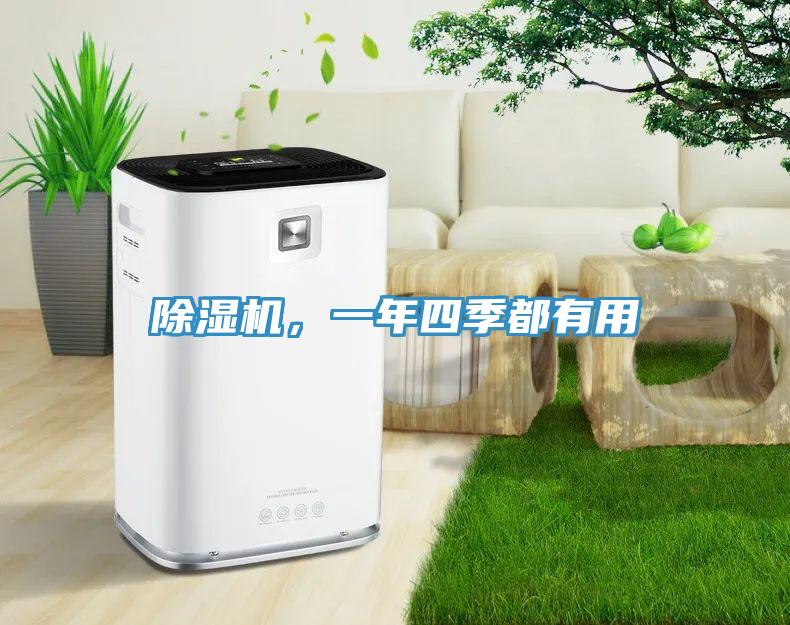 除濕機(jī)，一年四季都有用