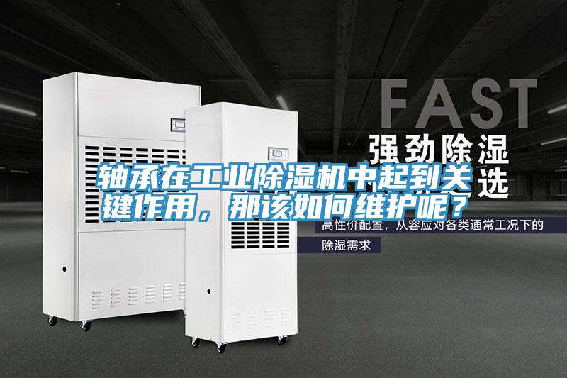 軸承在工業(yè)除濕機(jī)中起到關(guān)鍵作用，那該如何維護(hù)呢？
