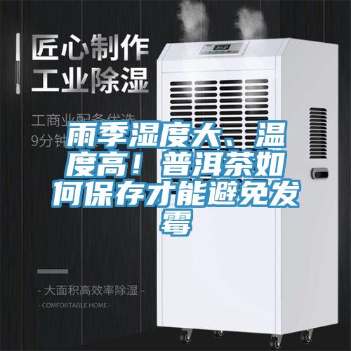 雨季濕度大、溫度高！普洱茶如何保存才能避免發(fā)霉