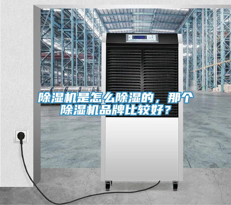 除濕機(jī)是怎么除濕的，那個(gè)除濕機(jī)品牌比較好？