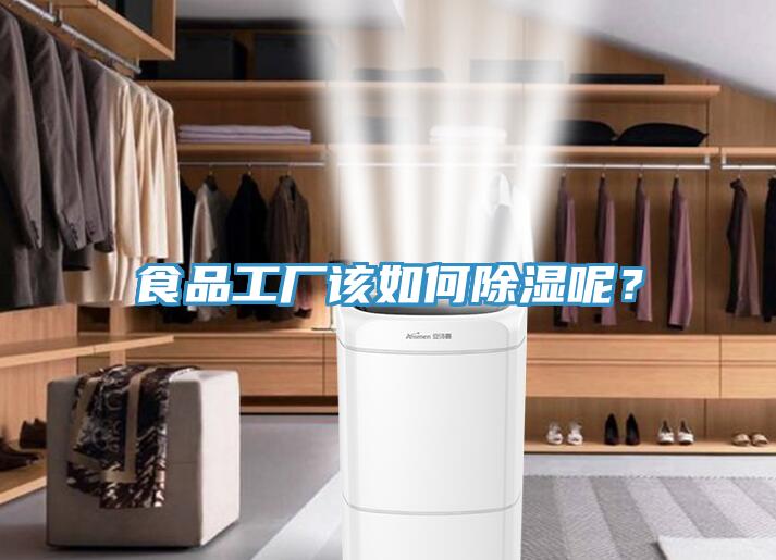 食品工廠該如何除濕呢？