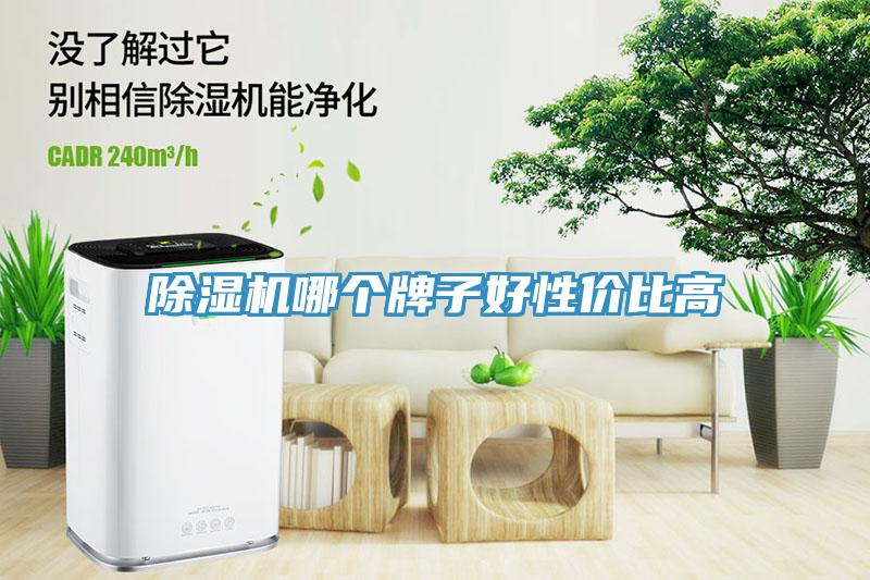 除濕機(jī)哪個(gè)牌子好性?xún)r(jià)比高