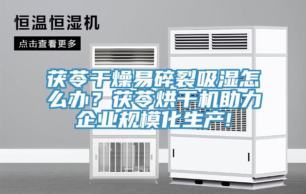 茯苓干燥易碎裂吸濕怎么辦？茯苓烘干機(jī)助力企業(yè)規(guī)?；a(chǎn)!