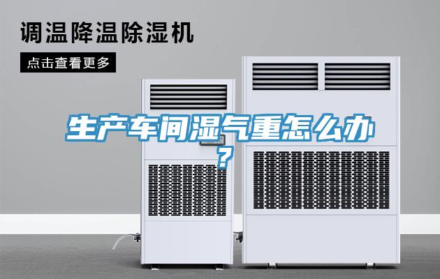 生產(chǎn)車間濕氣重怎么辦？