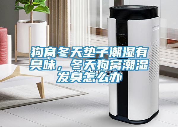 狗窩冬天墊子潮濕有臭味，冬天狗窩潮濕發(fā)臭怎么辦