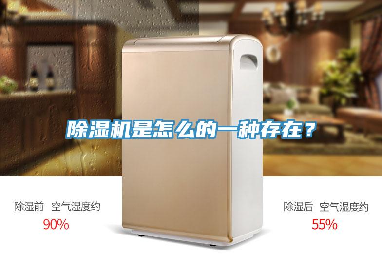 除濕機(jī)是怎么的一種存在？