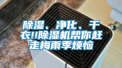 除濕、凈化、干衣!!除濕機(jī)幫你趕走梅雨季煩惱