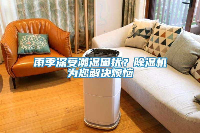 雨季深受潮濕困擾？除濕機為您解決煩惱