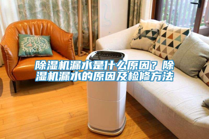 除濕機(jī)漏水是什么原因？除濕機(jī)漏水的原因及檢修方法