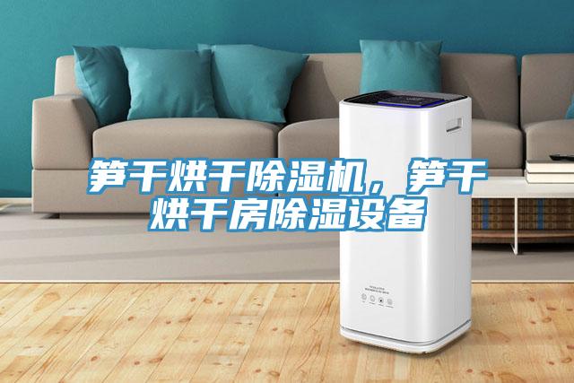 筍干烘干除濕機(jī)，筍干烘干房除濕設(shè)備