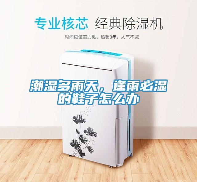 潮濕多雨天，逢雨必濕的鞋子怎么辦