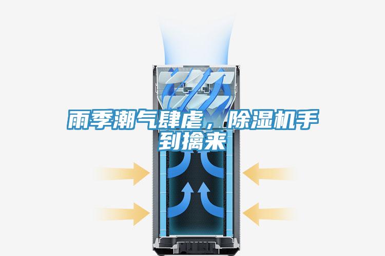 雨季潮氣肆虐，除濕機手到擒來