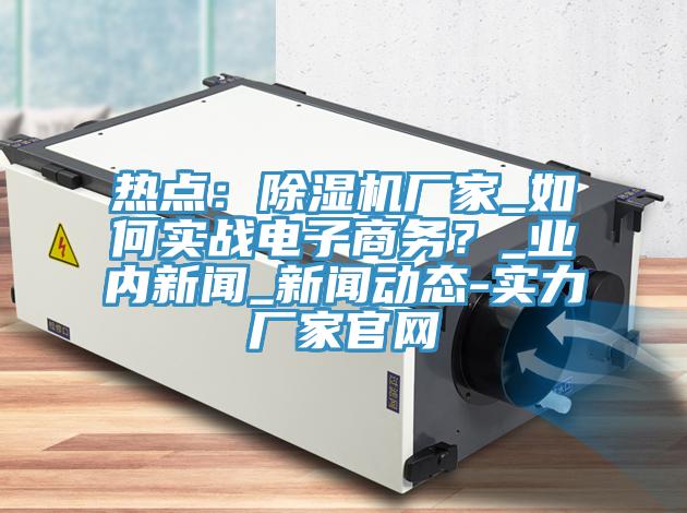 熱點(diǎn)：除濕機(jī)廠家_如何實(shí)戰(zhàn)電子商務(wù)？_業(yè)內(nèi)新聞_新聞動(dòng)態(tài)-實(shí)力廠家官網(wǎng)