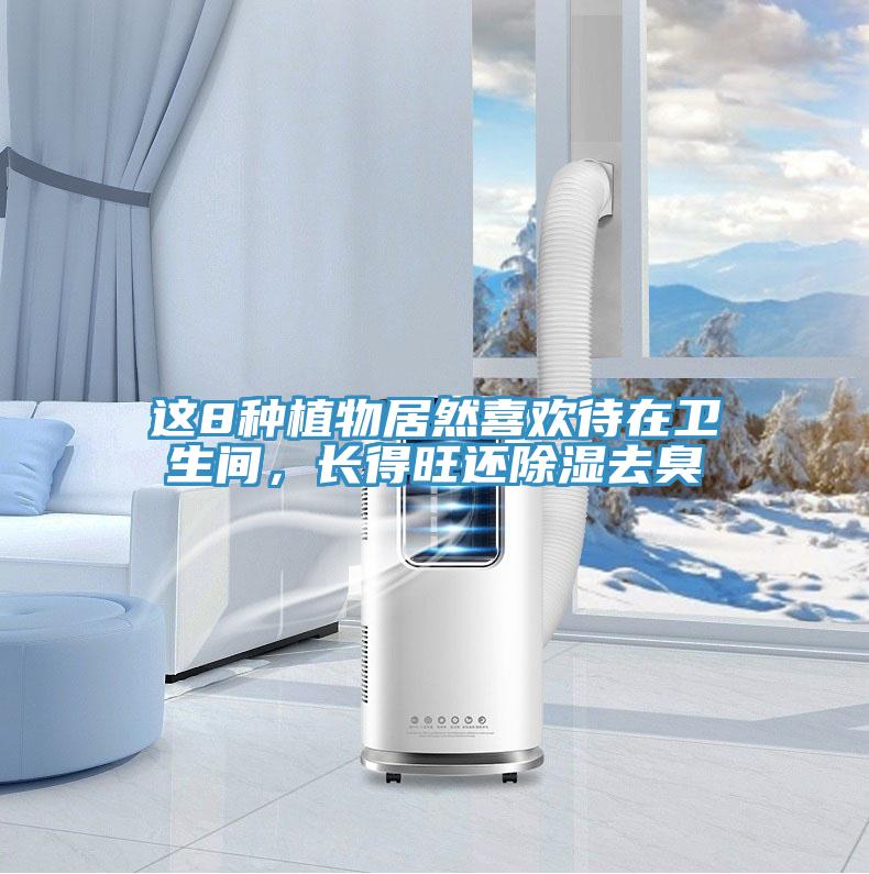 這8種植物居然喜歡待在衛(wèi)生間，長得旺還除濕去臭