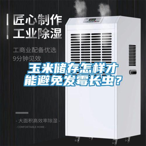 玉米儲(chǔ)存怎樣才能避免發(fā)霉長(zhǎng)蟲？