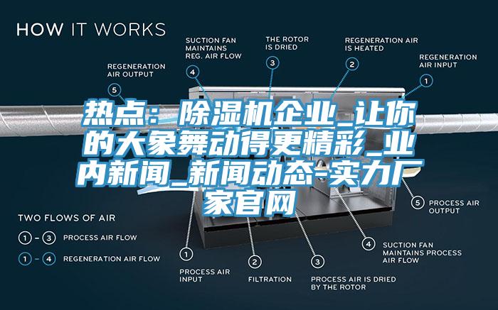 熱點：除濕機企業(yè)_讓你的大象舞動得更精彩_業(yè)內新聞_新聞動態(tài)-實力廠家官網