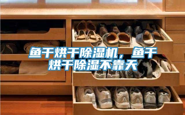 魚干烘干除濕機，魚干烘干除濕不靠天