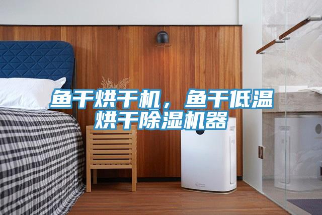 魚(yú)干烘干機(jī)，魚(yú)干低溫烘干除濕機(jī)器
