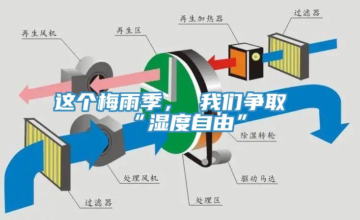 這個梅雨季， 我們爭取“濕度自由”