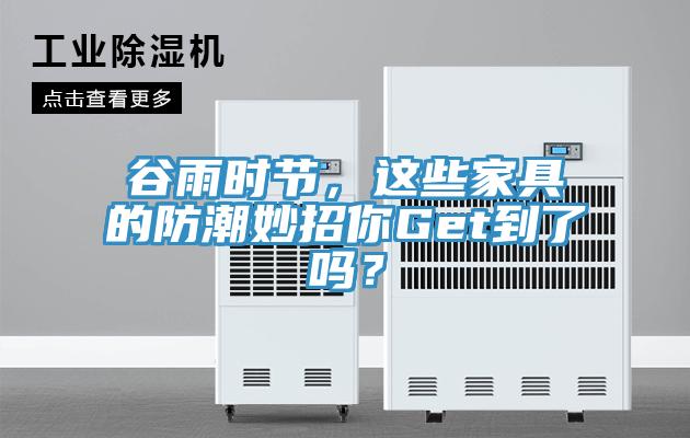 谷雨時(shí)節(jié)，這些家具的防潮妙招你Get到了嗎？